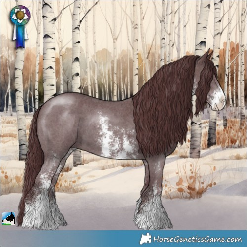 Horse Color:Chocolate Black Chinchilla Sabino 