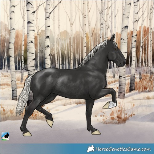 Horse Color:Liver Chestnut Mushroom Rabicano 