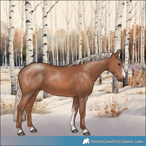 Horse Color:Chestnut Mushroom Sabino Rabicano 