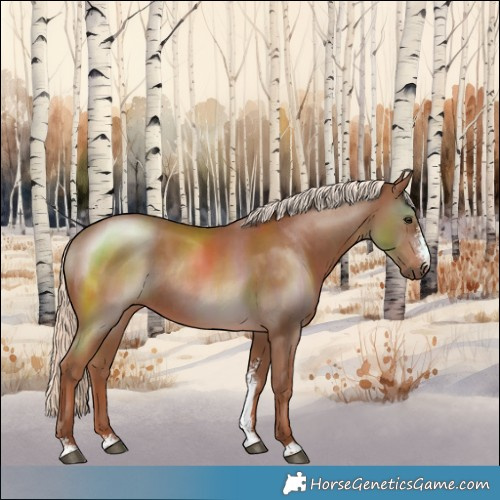Horse Color:Chestnut Mushroom Sabino Rabicano 