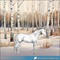 Horse Color:Liver Chestnut Mushroom Sabino Splash