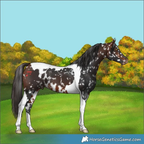 Horse Color:Bay Tobiano Skewed LP Spotted 