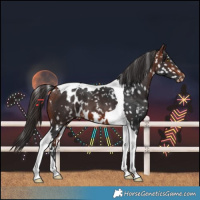 Horse Color:Bay Tobiano Skewed LP Spotted 