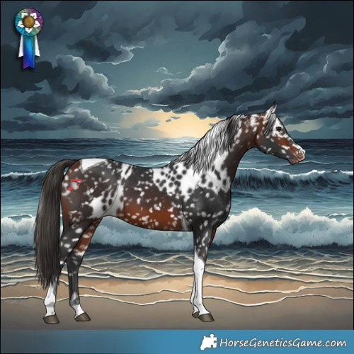Horse Color:Bay Tobiano Skewed LP Spotted 