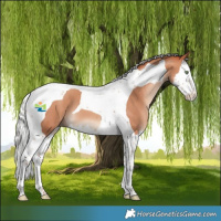 Horse Color:Silver Sable Champagne Splash Tobiano 