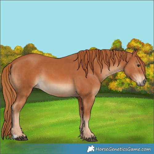 Horse Color:Chestnut  and Chestnut 