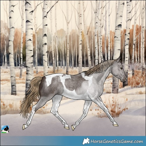 Horse Color:Liver Red Roan Tobiano