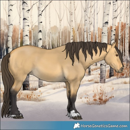 Horse Color:Buckskin Dun 