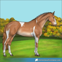 Horse Color:Chestnut  and Chestnut Tobiano 