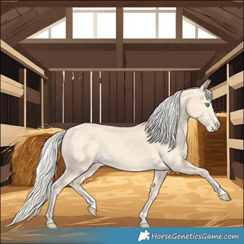 Horse Color:Cremello Splash  and Cremello 