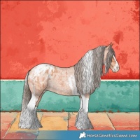 Horse Color:Silver Bay Roan Splash Tobiano Appaloosa  and Bay Roan Splash Tobiano Appaloosa 