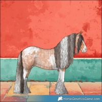 Horse Color:Silver Bay Roan Splash Tobiano Appaloosa and Bay Roan Splash Tobiano Appaloosa