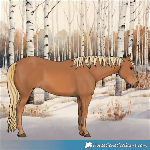 Horse Color:Chestnut 