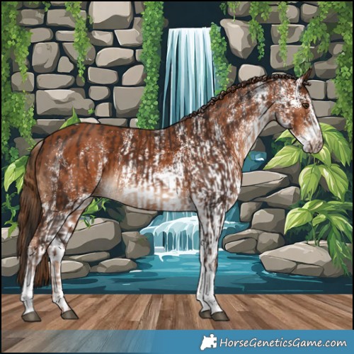Horse Color:Liver Chestnut Tobiano  and White Spotted Chestnut 