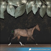 Horse Color:Brown Dun Rabicano 