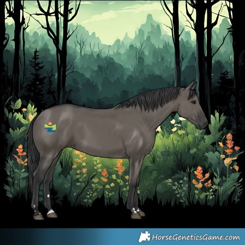 Horse Color:Grullo 