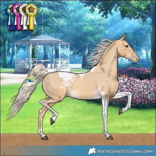 Horse Color:Palomino Dun Tobiano Varnish 
