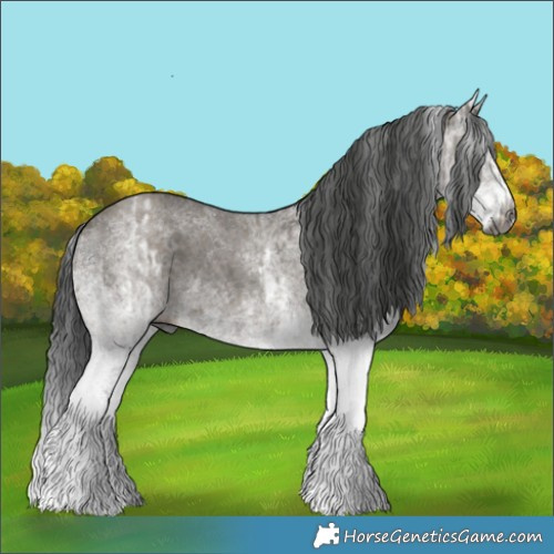 Horse Color:Gray White Spotted Grullo  and Gray White Spotted Grullo Splash 