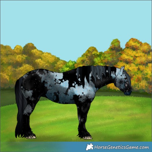 Horse Color:ERROR: UNKNOWN ANOMALY