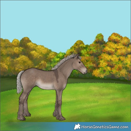 Horse Color:Silver Grullo