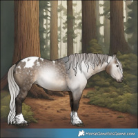 Horse Color:Gray Silver Brown Dun Tobiano Appaloosa 