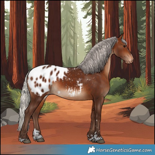 Horse Color:Silver Brown Blanket 