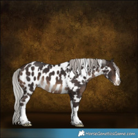 Horse Color:White Spotted Silver Brown Splash Skewed LP Spotted 