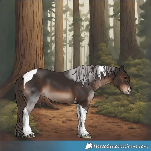 Horse Color:White Spotted Liver Chestnut Tobiano 