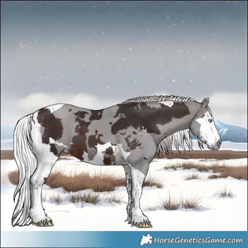 Horse Color:Silver Brown Merle Tobiano 