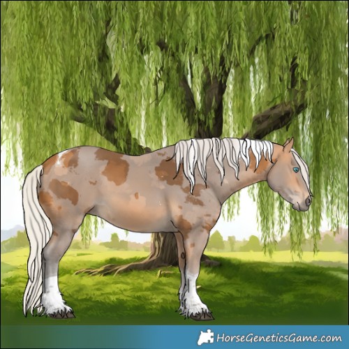Horse Color:Silver Buckskin Merle Tobiano 