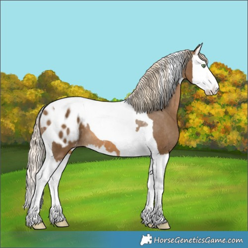 Horse Color:Chocolate Palomino Splash Tobiano Blanket 