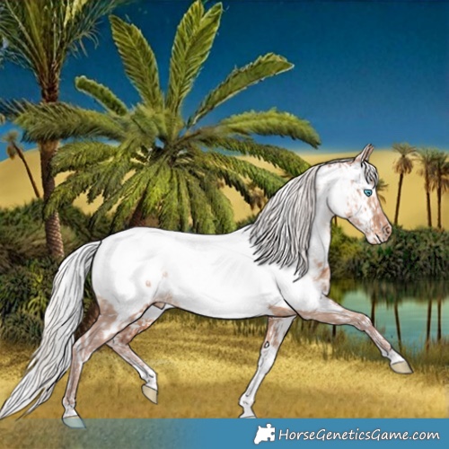 Horse Color:Platinum White Spotted Silver Smoky Creme Dun Tobiano Appaloosa Brindle  and White Spotted Silver Bay Dun Tobiano Appaloosa Brindle 