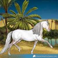 Horse Color:Platinum White Spotted Silver Smoky Creme Dun Tobiano Near Fewspot Brindle  and White Spotted Silver Bay Dun Tobiano Near Fewspot Brindle 