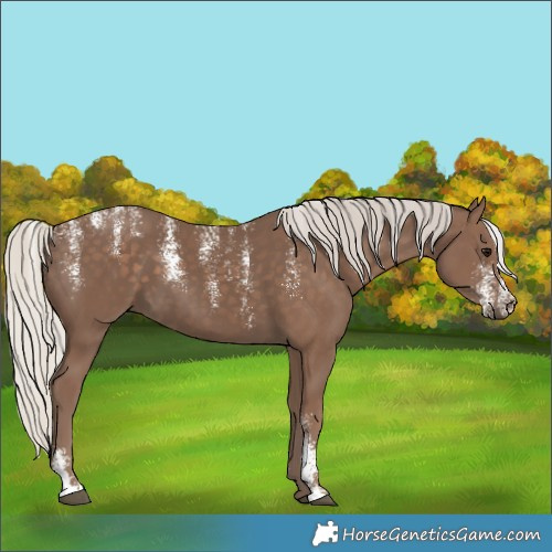 Horse Color:Powder White Silver Black 