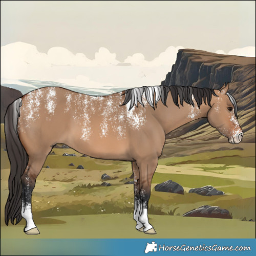 Horse Color:Powder White Bay Dun 