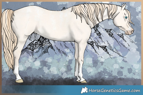 Horse Color:Powder White Perlino Dun Rabicano 