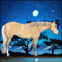 Horse Color:Powder White Silver Buckskin Dun