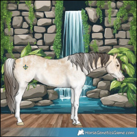 Horse Color:Powder White White Spotted Buckskin Dun
