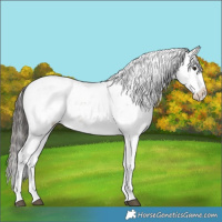 Horse Color:Bay Sabino
