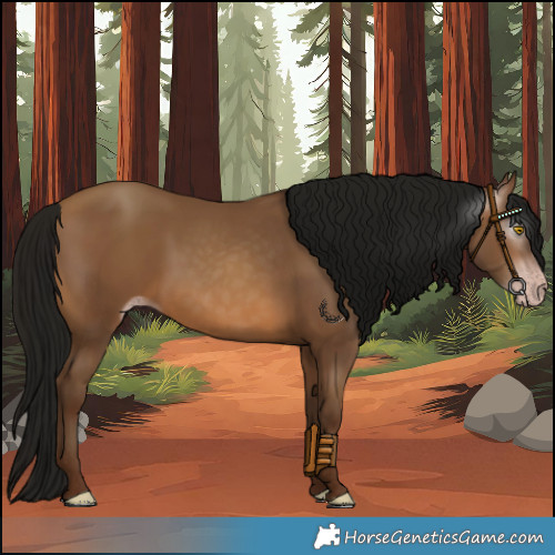 Horse Color:Gray Amber Champagne