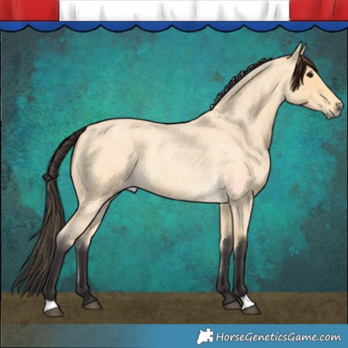 Horse Color:Buckskin Roan