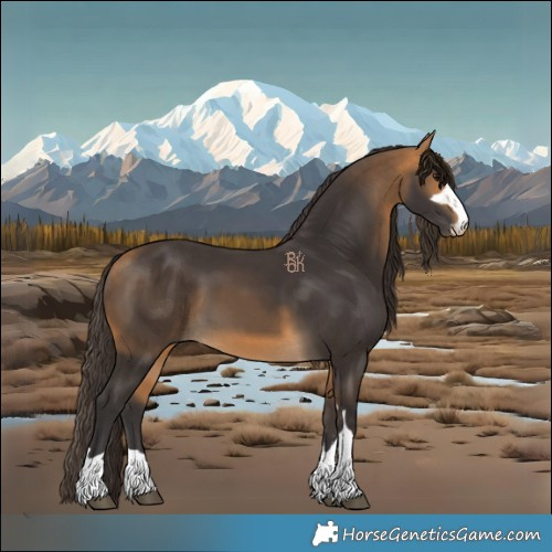 Horse Color:Buckskin 
