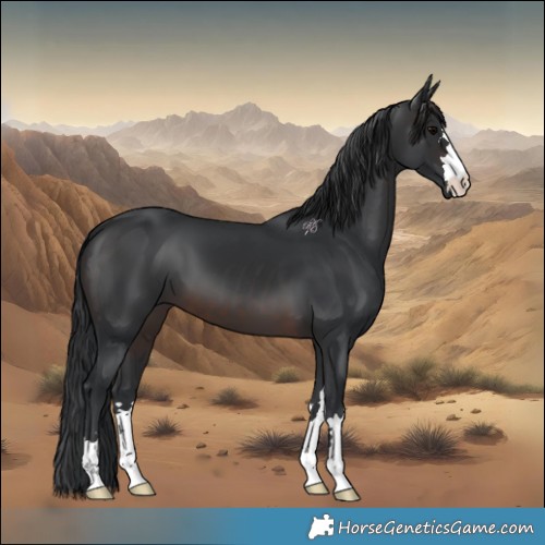 Horse Color:Brown 