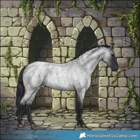 Horse Color:Blue Roan 