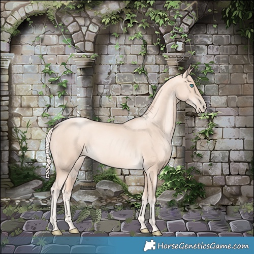 Horse Color:Gold Cream Champagne Pearl 