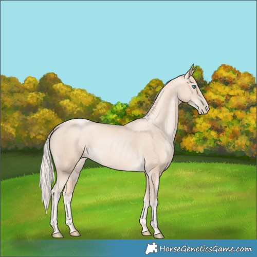 Horse Color:Gold Cream Champagne Pearl