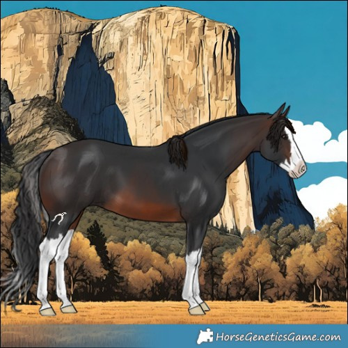 Horse Color:Brown Splash 