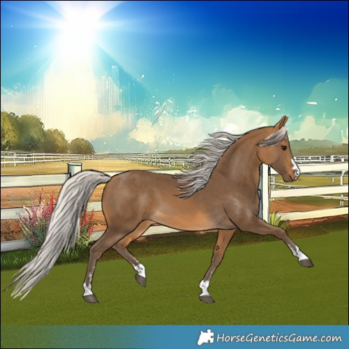 Horse Color:Silver Buckskin