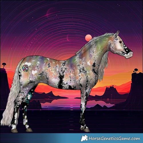 Horse Color:Nacre Silver Brown Onyx Sabino Rabicano 