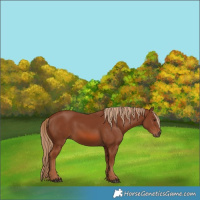 Horse Color:Chestnut 